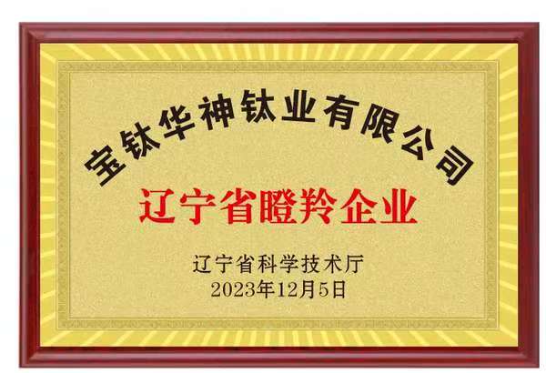 辽宁省瞪羚企业