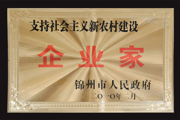 支持社会主义新农村建设企业家